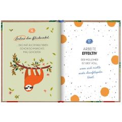 Geschenkbuch 100 DINGE DIE MAN VON EINEM FAULTIER LERNEN KANN